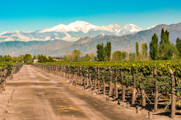 Mendoza - Marzo a Junio