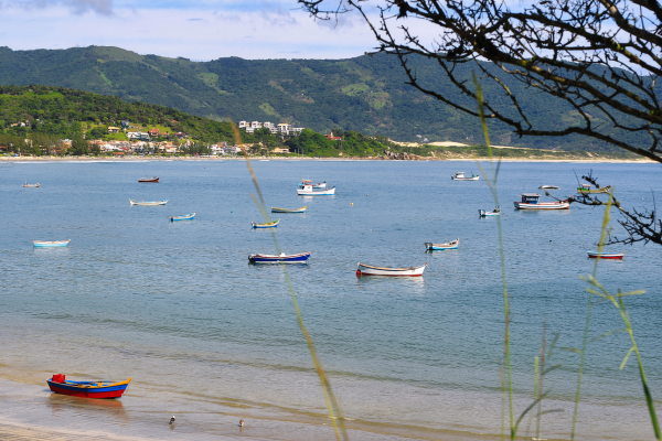 Garopaba Verano 2026 - 10 días